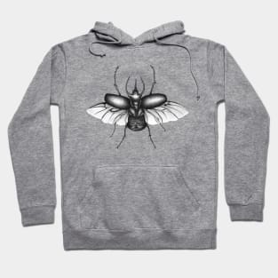 Beetle Wings Hoodie